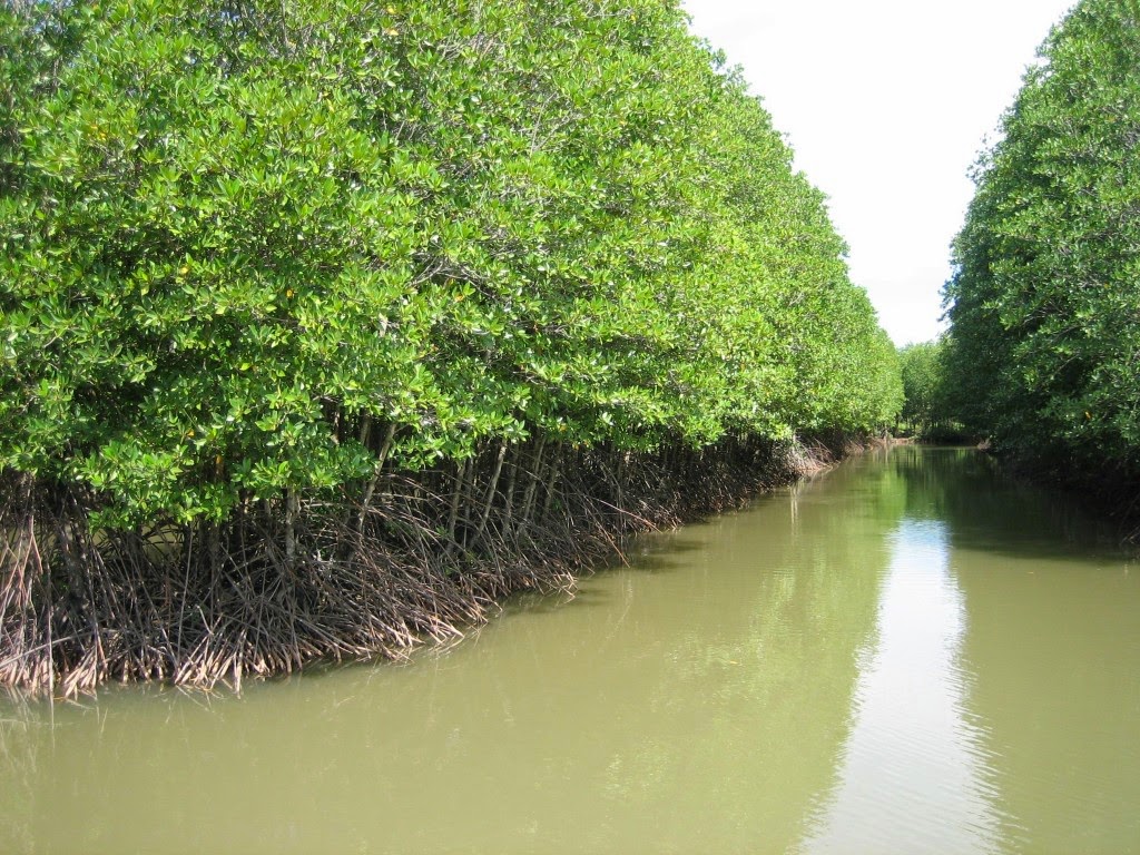 Du lịch Cà Mau